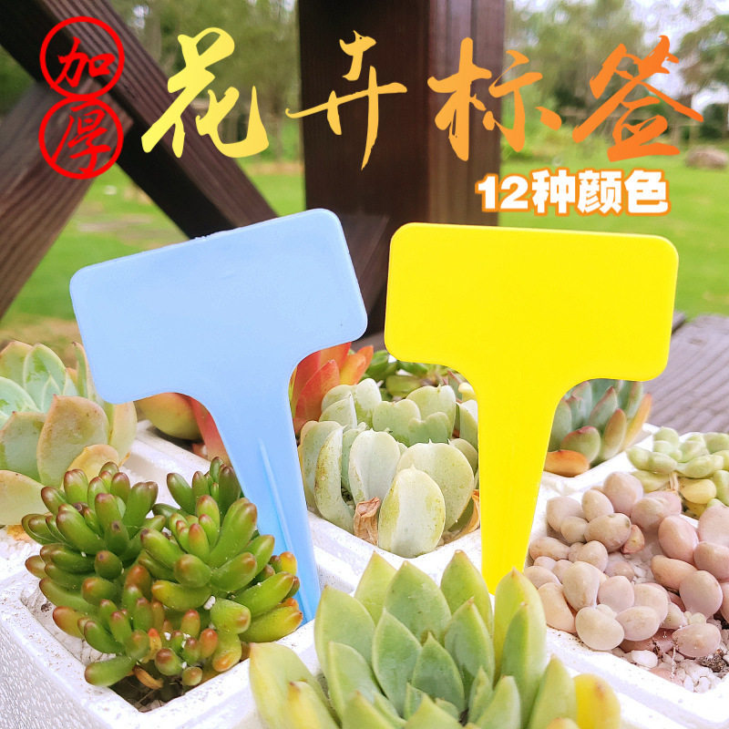 塑料多肉标签花卉园艺插地牌盆栽植物名字标牌防水小插牌