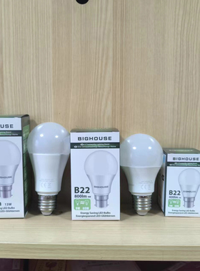 外贸LED灯泡E27螺口B22卡口5W9W13W暖光3000K超亮节能照明球泡