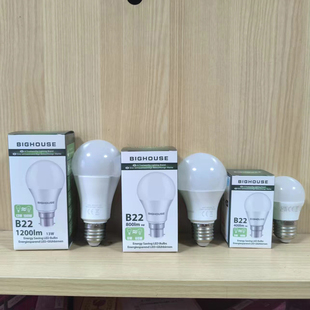 外贸LED灯泡E27螺口B22卡口5W9W13W暖光3000K超亮节能照明球泡