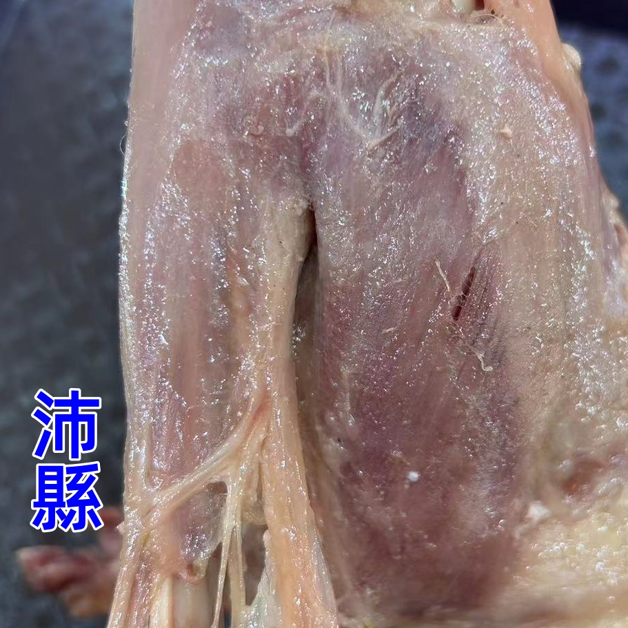 沛县特产红烧五香熟肉速食猪手香肉无汤樊家秘制肉类私房菜1500克