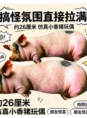 搞怪仿真小香猪抱枕小众恶搞礼品