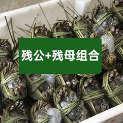 鲜活兴化大闸蟹精品残腿断脚 残母+残公组合