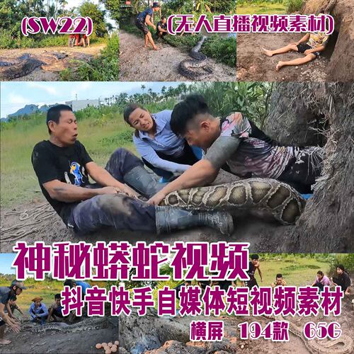 (SW22)神秘蟒蛇视频抖音快手西瓜自媒体短视频素材横屏 194部 65G