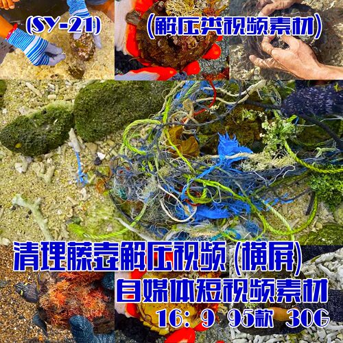(SY021)清理藤壶解压视频抖音快手自媒体短视频素材横屏 95款 30G