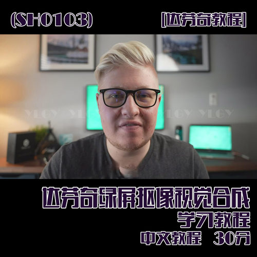(SH103)达芬奇Davinci Resolve 绿屏抠像视觉合成 中文字幕