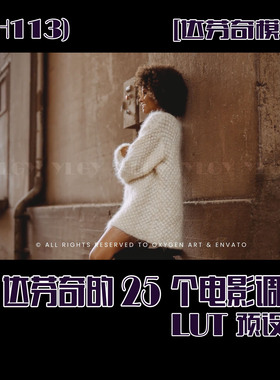 (SH113)DaVinci Resolve 达芬奇的25个电影调色LUT预设包模板