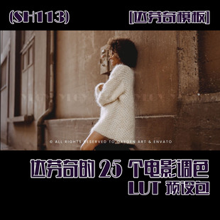 (SH113)DaVinci Resolve 达芬奇的25个电影调色LUT预设包模板