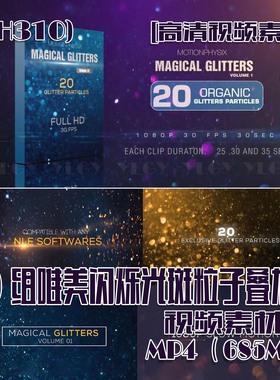 (SH310) 20组唯美闪烁光斑粒子叠加高清视频素材 685MB