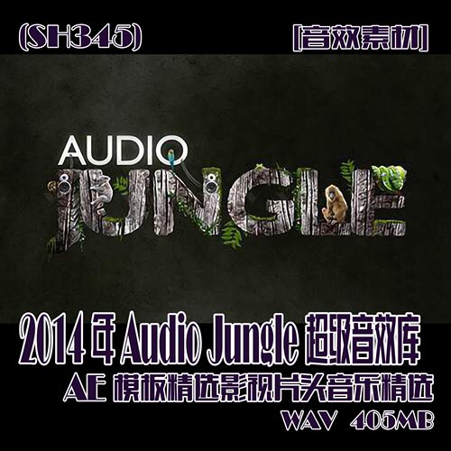 (SH345)Audio Jungle超级音效库AE模板精选影视片头音乐WAV405MB