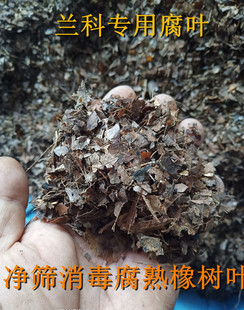 净筛消毒腐熟橡树叶柞树叶 君子兰 兰花 兰科专用腐叶包邮