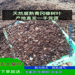 君子兰专用腐叶腐熟橡树叶花土改良介质腐叶土发酵青冈橡树叶包邮