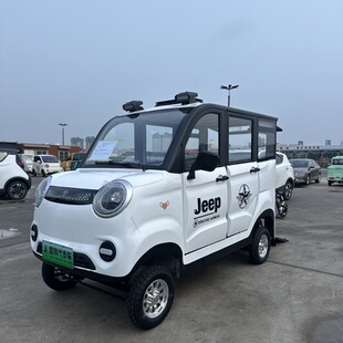 轮椅专用电动四轮代步车全封闭带棚家用电瓶车子母车老年助残车