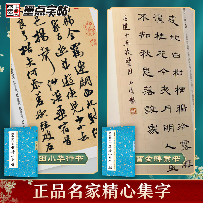 墨点字帖中华好诗词2册