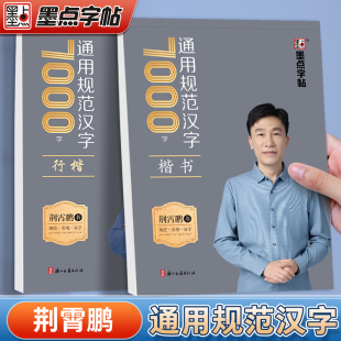 墨点字帖荆霄鹏行楷字帖成人练字楷书字帖通用规范汉字7000字钢笔临摹练字帖初中生高中生硬笔书法练字本男生女生漂亮字体控笔训练