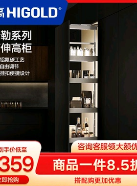 HIGOLD/悍高 希勒高伸高柜拉篮 厨房橱柜调味篮碗篮橱柜阻尼拉篮