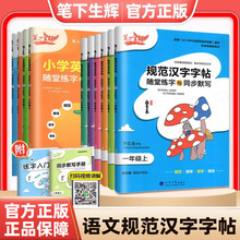 笔下生辉规范汉字字帖随堂练字与同步默写一二三四五六七八九年级上册下册人教版小学初中楷书正楷硬笔钢笔临摹临写描红书法