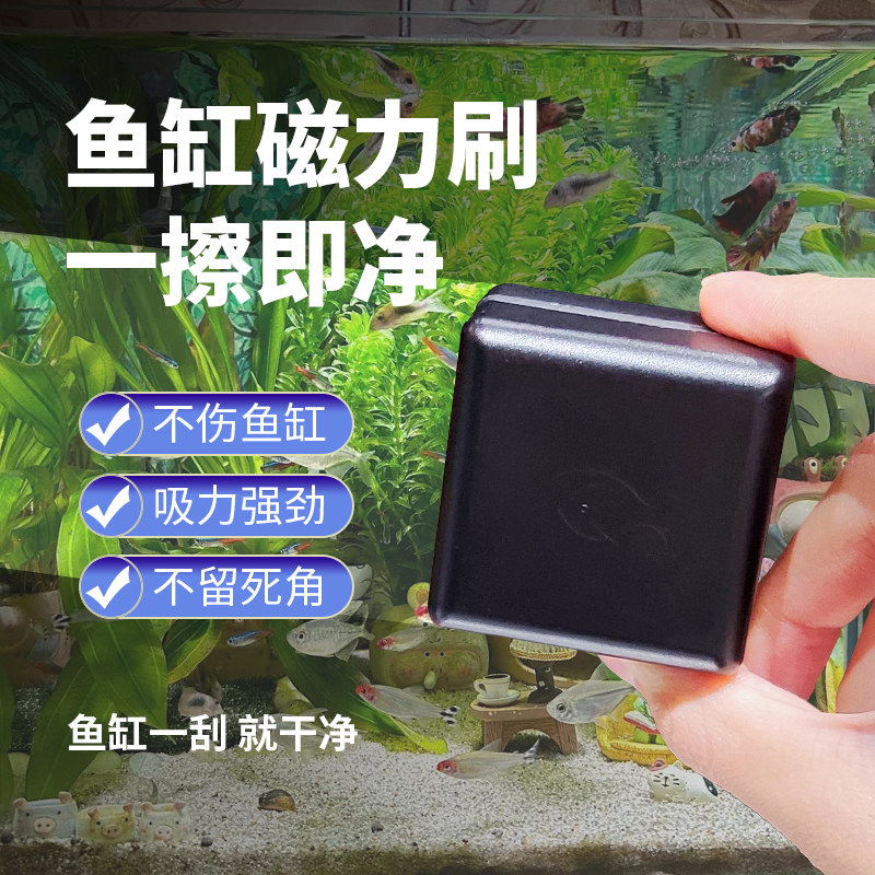 鱼缸迷你强磁力刷双面清洁无死角亚克力缸专用除藻神器,宠物/宠物食品及用品,鱼缸清洁用具,淘宝优惠券,粉丝福利购,淘宝优惠卷