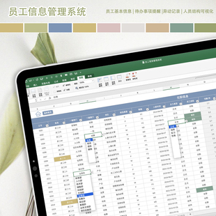 Excel可视化员工信息花名册管理HR人力资源统计分析表格|一只咸鱼
