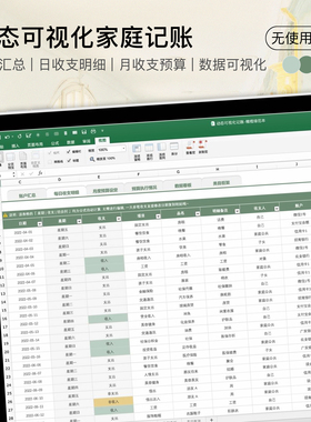 Excel可永久使用动态可视化家庭日常财务记账表|一只咸鱼电子手帐
