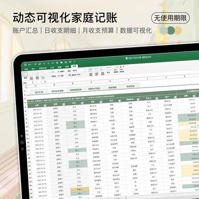 Excel可永久使用动态可视化家庭日常财务记账表|一只咸鱼电子手帐