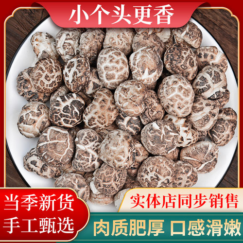 湖北十堰特产武当春小花菇
