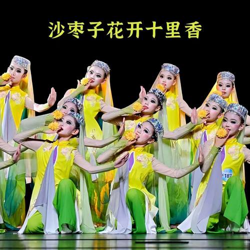 女童古典舞少数民族舞蹈演出服沙枣子花开十里香儿童回族民族舞蹈
