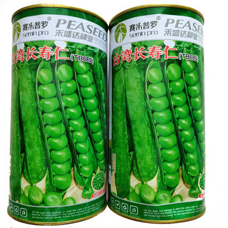 台湾长寿仁豌豆甜脆青种籽散装豌豆种籽四季甜豌豆种子蔬菜种子