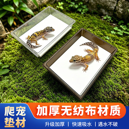 爬宠无纺布垫纸造景专用缸垫材