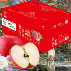 邢台特产浆水苹果精品礼盒装20枚中大果脆甜可口家乡特产京东包邮