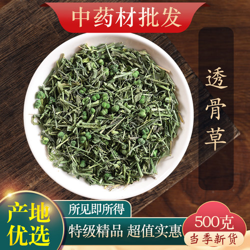 中药材特级野生透骨草500g克