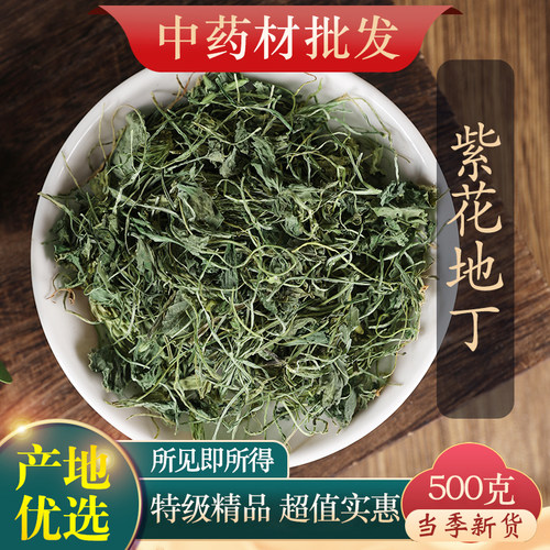 中药材紫花地丁500克正品