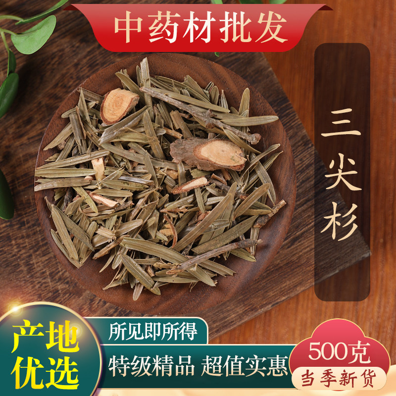 中药材精选岩杉 正品新货三尖杉 狗尾松叶 藏杉 三尖松500g克