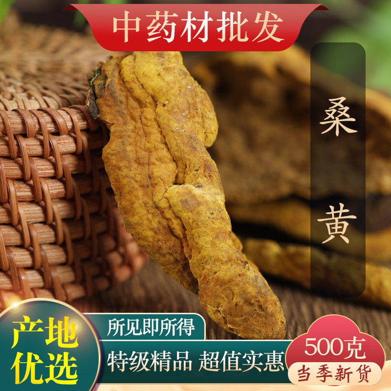 桑黄西藏中药材茶干货小努桑树桑黄孔正宗灵芝泡水500克中药材图片
