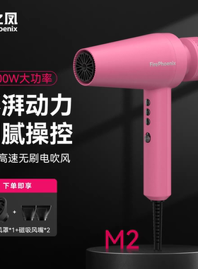 火之凤M2/M2plus理发店发廊发型师专用家用大功率负离子高速风筒