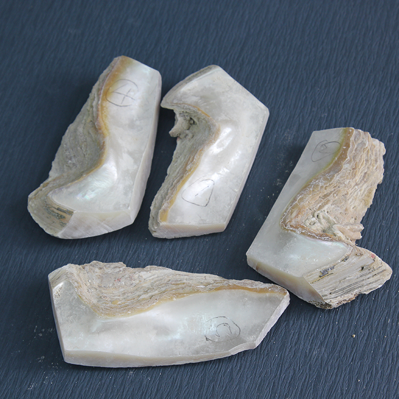 珍珠母贝螺钿鱼骨原料方块头料白珍珠贝diy手工印章雕刻镶嵌材料