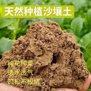 田园土泥土果木种植种菜种花专用沙壤营养土黄土淡水河沙泥塑泥巴