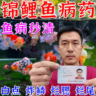 【养鱼必备】鱼病专用药治疗白点霉烂尾身烂鳍烂腮炸鳞消毒杀菌剂
