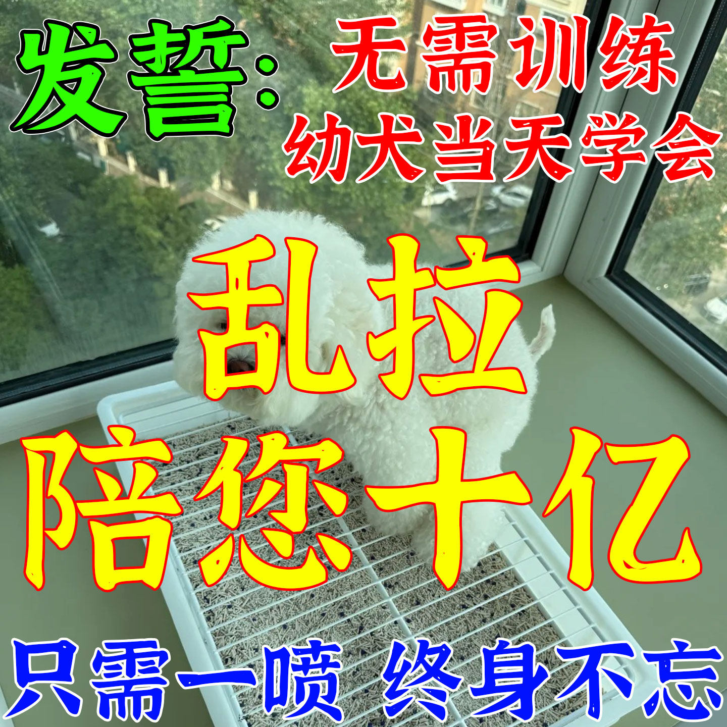 【一喷就会】狗狗定点排便神器上厕所大小便诱导剂尿垫定点训练剂