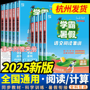 暑假衔接作业小学一升二升三升四升五升六年级下册学霸语文阅读集训数学计算思维题大通关人教北师江苏教版 2025学霸 预复习一本通