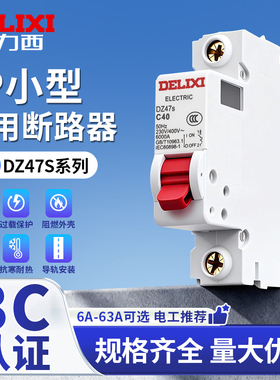德力西DZ47S家用20A空气开关1P断路器32A空开63A单极16A电闸 100A