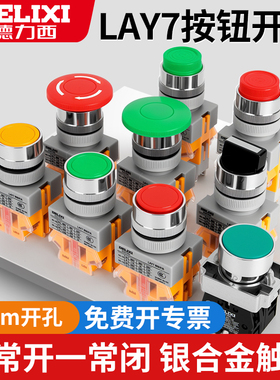 按钮复位自锁带灯按钮旋钮自11D急停-德力西按钮开关11BN平头LAY7