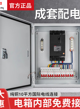 德力西成套配电箱户外定制明装强电箱三级工地临时用开关工程三相