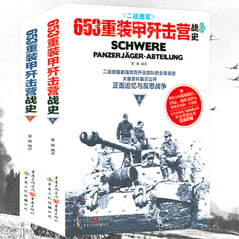 二战德军：653重装甲歼击营战史 德国坦克歼击部队陆军第197突击炮营作战指挥全景侦察兵503重装甲营战史坦克曝光实战指南军事书籍