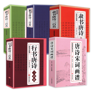 5册 唐诗宋词画谱行书唐诗三百首隶书唐诗三百首篆书唐诗三百首楷书唐诗三百首传世书法经典书画爱好者丛书书籍