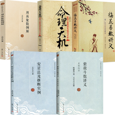 紫微斗数讲义周易象数例解王亭之