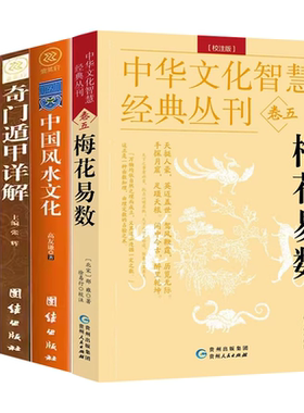 【4册】梅花易数+易经+奇门遁甲详解+中国风水文化 易经全书正版周易风水学入门书籍 周易大全中国书籍易经风水经典哲学书籍