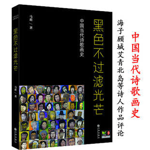 中国当代诗歌画史黑色不过滤光芒 画赞与诗评新诗十讲选读赏析鉴赏评论辞典精选集书籍 当代中国诗人群