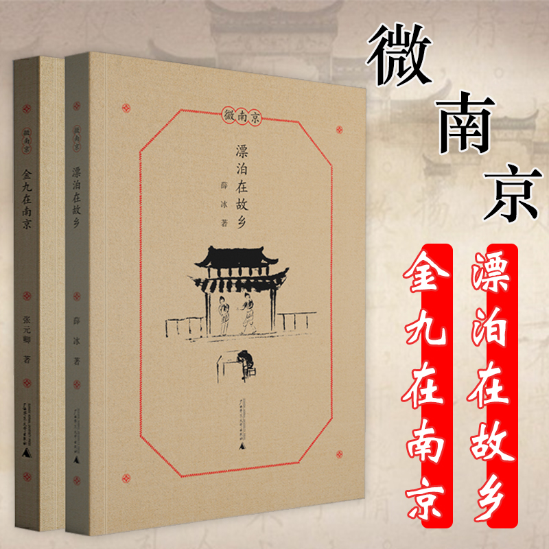 【2册】微南京：漂泊在故乡+ 金九在南京    名家笔下的老南京家住六朝