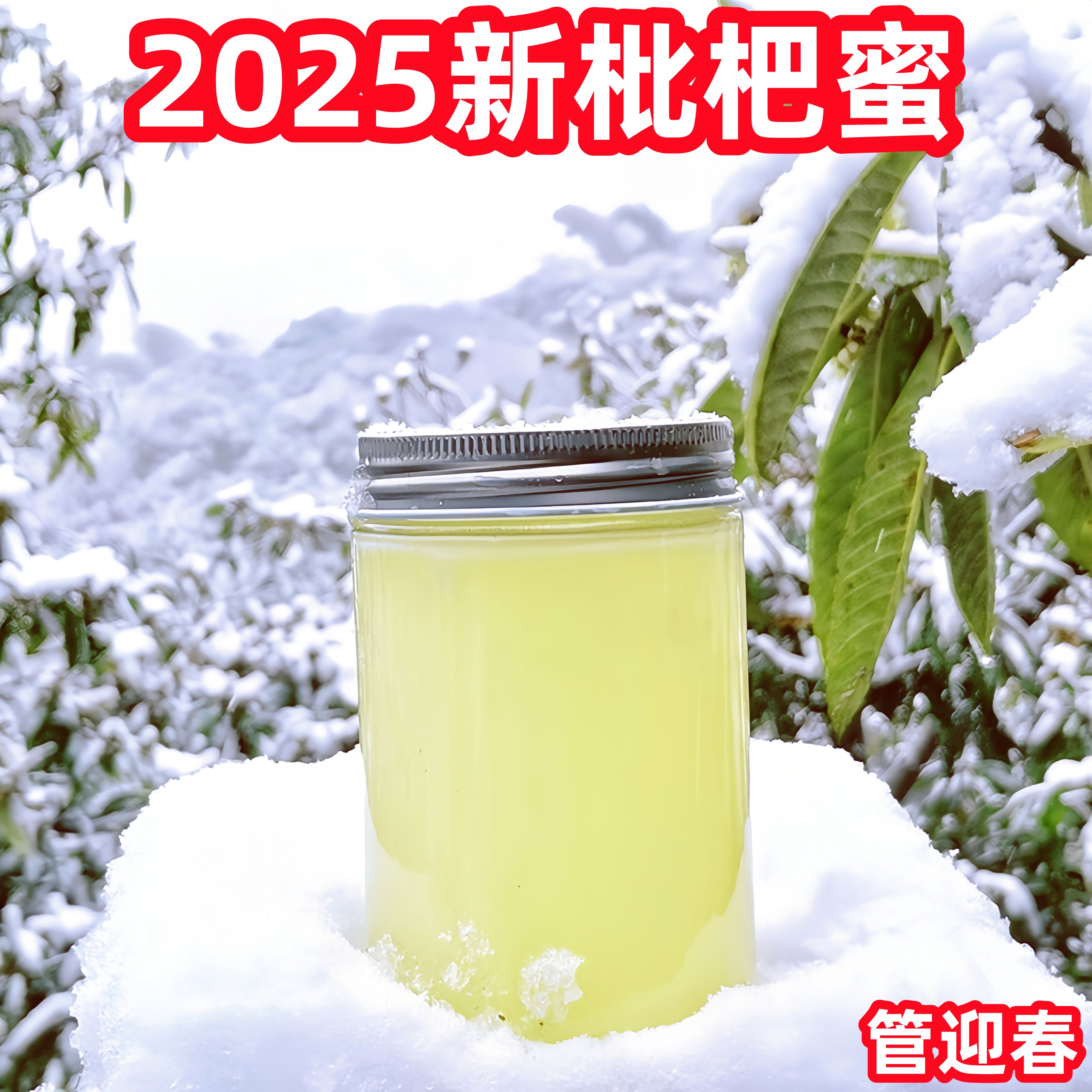 2025新枇杷蜜冬蜜土蜂蜜苏州管迎春自产自销
