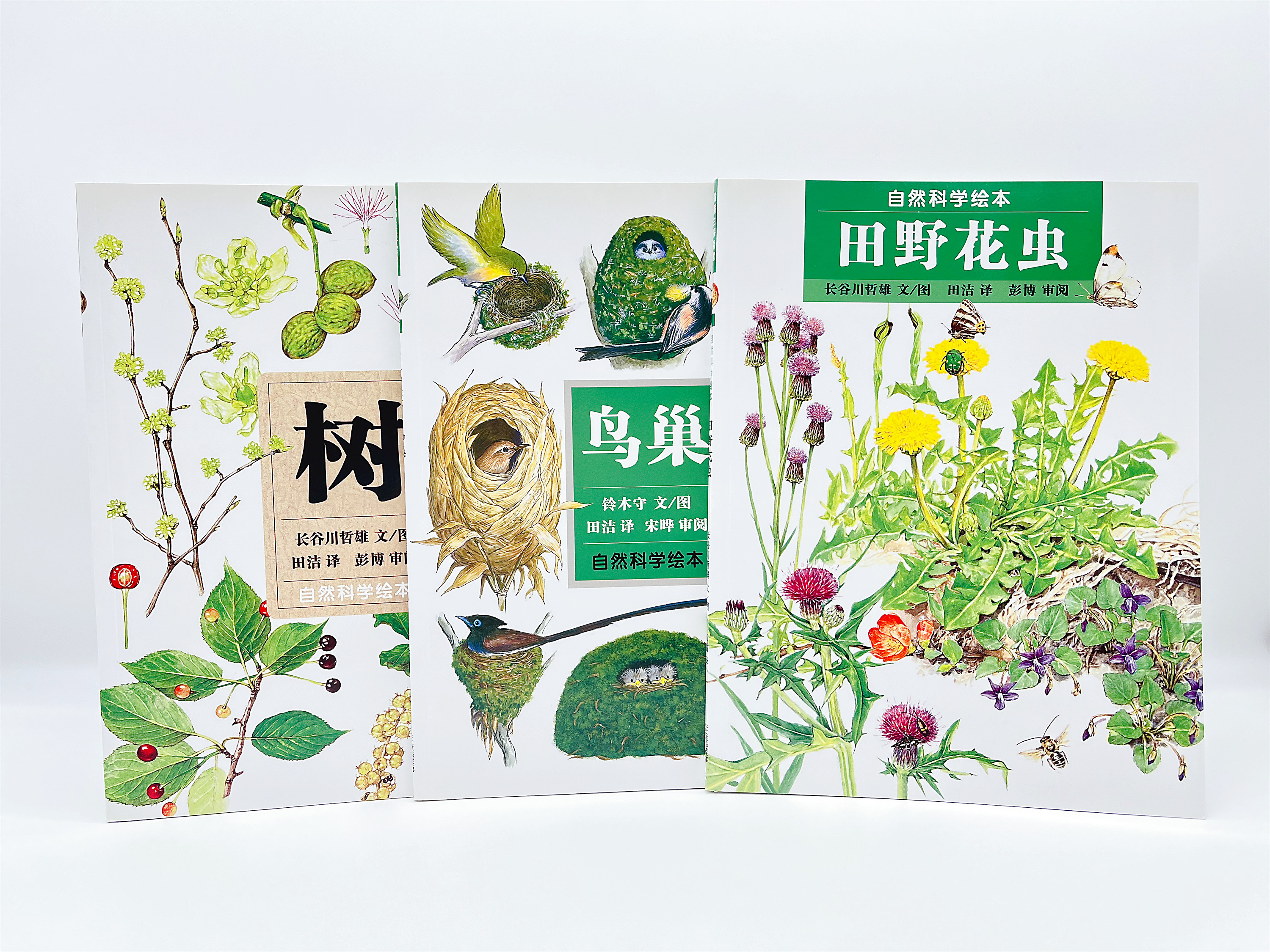 自然科学绘本系列（3册）